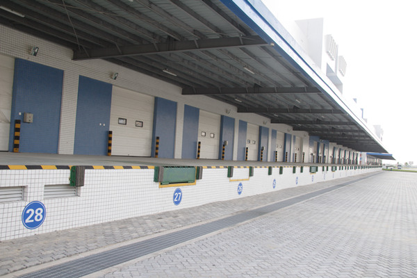 http://www.qdmdl.cn/article/410.html